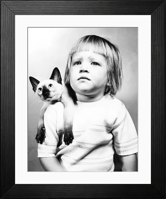 Framed Print : Portrait of Girl With Siamese Cat Framed Print : Portrait of Girl With Siamese Cat