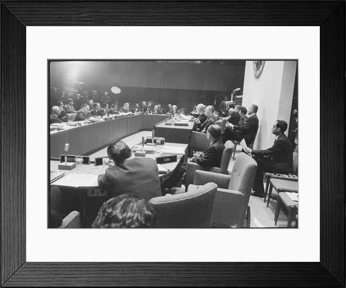 Framed Print : Council of the Organization of American States Framed Print : Council of the Organization of American States