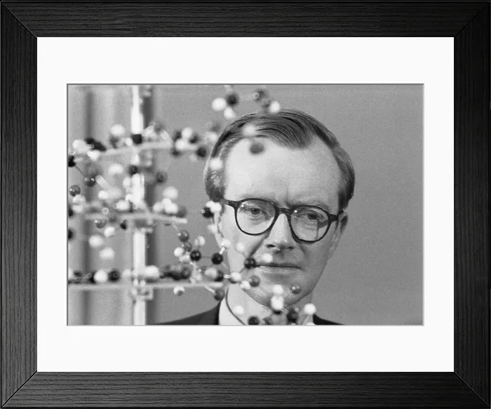 Framed Print : Maurice Wilkins with Molecular Model