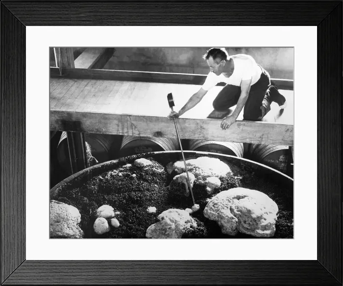 Framed Print : Man Checking Wine Fermentation Tank