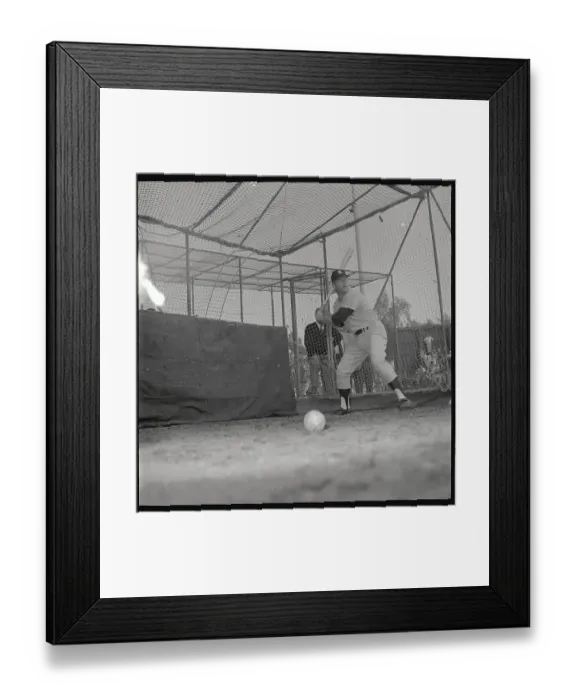 Framed Print : Mickey Mantle Practicing in Cage at Modesto Game Framed Print : Mickey Mantle Practicing in Cage at Modesto Game