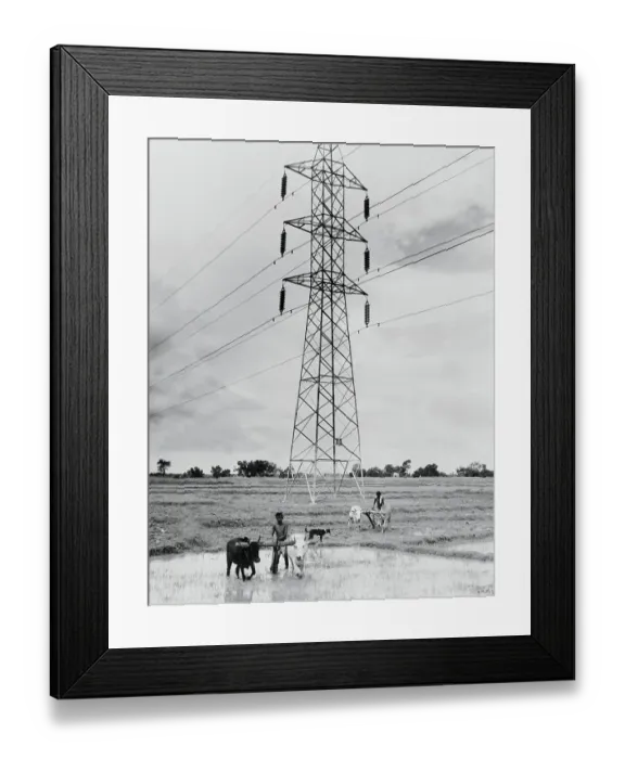 Framed Print : Farmers Working in Field in India Framed Print : Farmers Working in Field in India