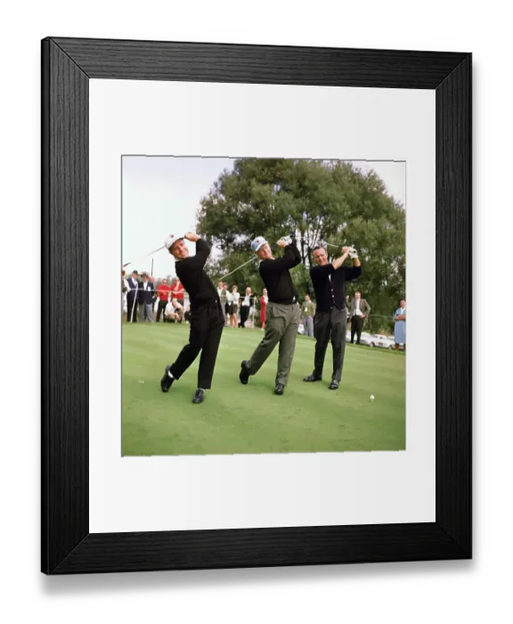 Framed Print : Golfers Swinging Clubs Framed Print : Golfers Swinging Clubs