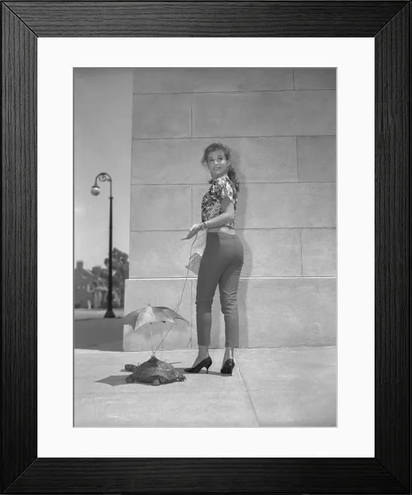 Framed Print : Ann-Margret Walking Tortoise