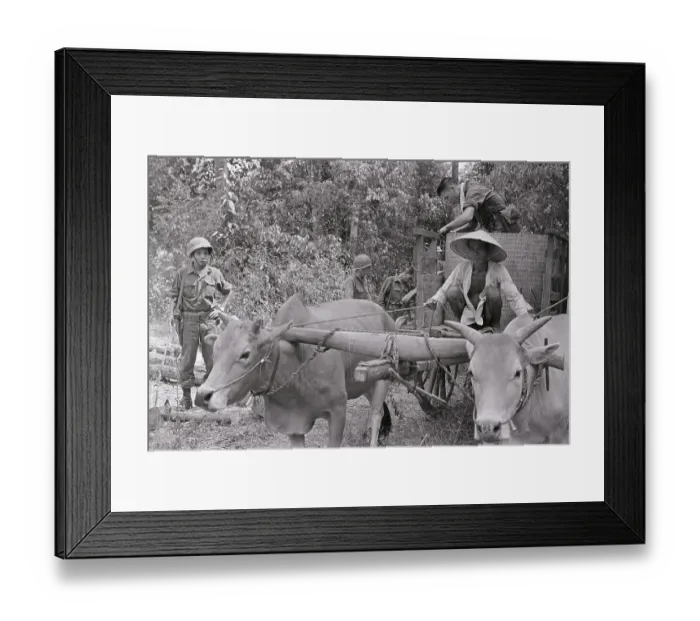 Framed Print : Villagers Loading Belongings on Ox-Cart