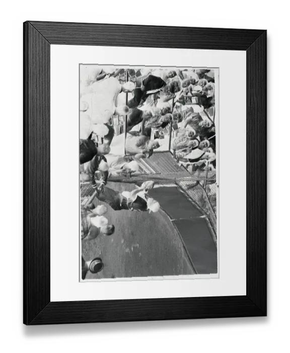 Framed Print : Elston Howard Catching Ball by Fence Framed Print : Elston Howard Catching Ball by Fence