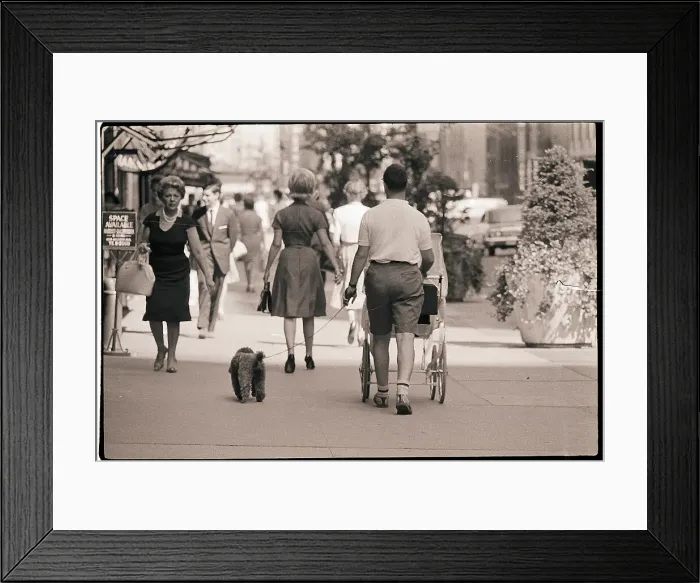 Framed Print : Man Walk Dog and Baby Carriage Framed Print : Man Walk Dog and Baby Carriage