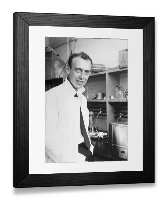 Framed Print : James Deuer Watson Sitting in Laboratory Framed Print : James Deuer Watson Sitting in Laboratory