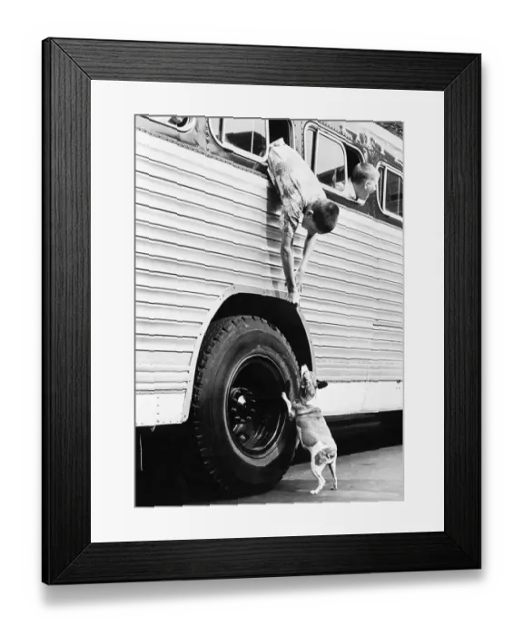 Framed Print : Camp Bound Boy and his Dog Framed Print : Camp Bound Boy and his Dog