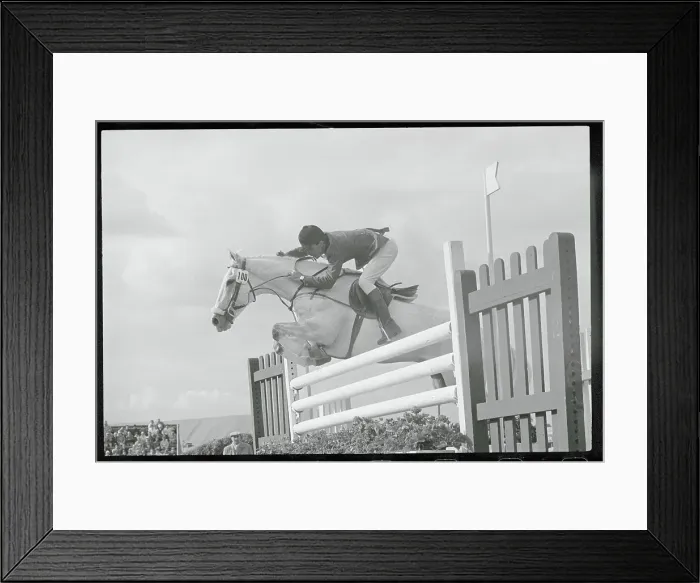 Framed Print : Rider Jumping Fence Framed Print : Rider Jumping Fence