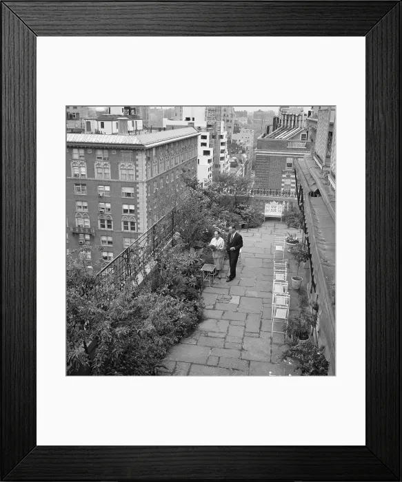 Framed Print : Helena Rubinstein's Penthouse Gardens Framed Print : Helena Rubinstein's Penthouse Gardens