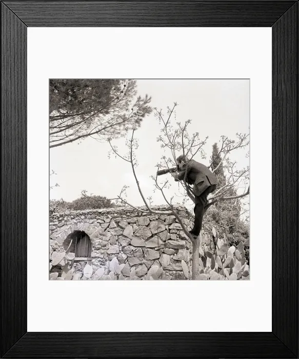 Framed Print : Celebrity Photographer in Tree Framed Print : Celebrity Photographer in Tree