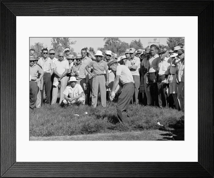 Framed Print : Butch Baird Chips from Tall Grass Framed Print : Butch Baird Chips from Tall Grass