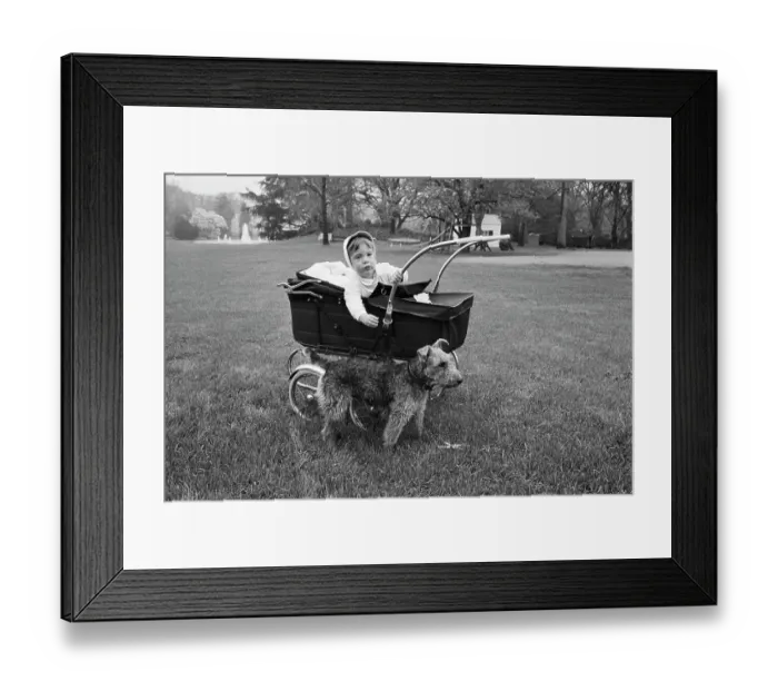 Framed Print : John F. Kennedy Jr. in a Baby Carriage Framed Print : John F. Kennedy Jr. in a Baby Carriage