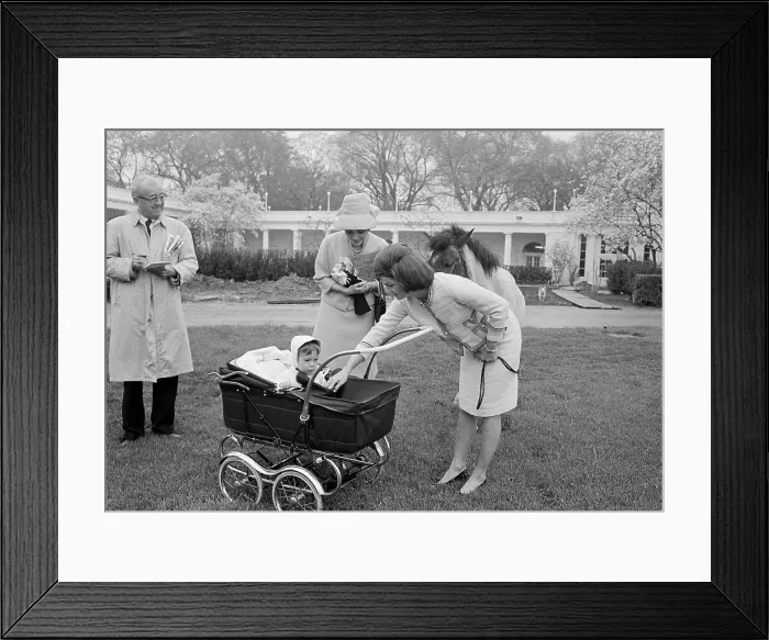 Framed Print : Jacqueline Kennedy Introducing John Jr. to the Empress Farah Framed Print : Jacqueline Kennedy Introducing John Jr. to the Empress Farah