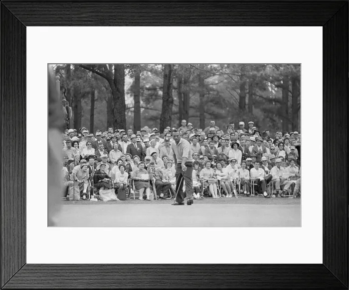 Framed Print : Arnold Palmer Impatiently Watching Ball Framed Print : Arnold Palmer Impatiently Watching Ball