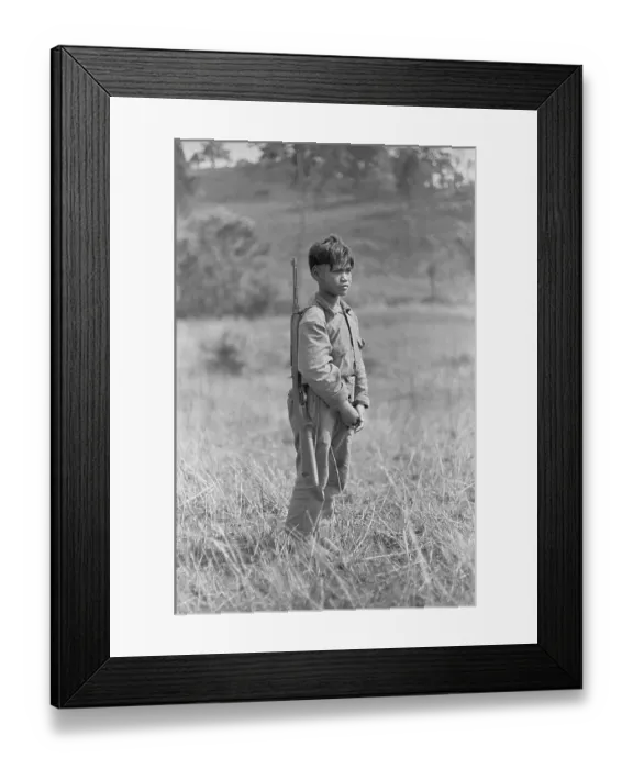 Framed Print : Young Laotian Boy in Field with Rifle Framed Print : Young Laotian Boy in Field with Rifle