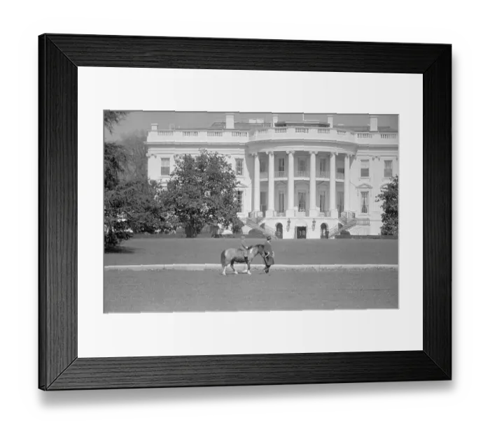 Framed Print : Caroline Kennedy Riding Pony at White House Framed Print : Caroline Kennedy Riding Pony at White House