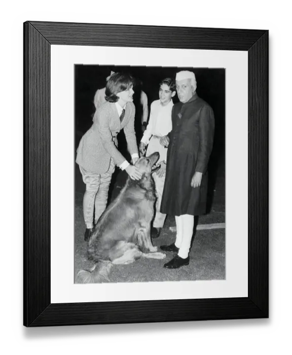 Framed Print : Jacqueline Kennedy Petting a Dog Framed Print : Jacqueline Kennedy Petting a Dog