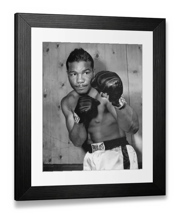Framed Print : Henry Hank Framed Print : Henry Hank