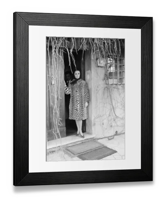 Framed Print : Liz Taylor In Leopard Coat Framed Print : Liz Taylor In Leopard Coat