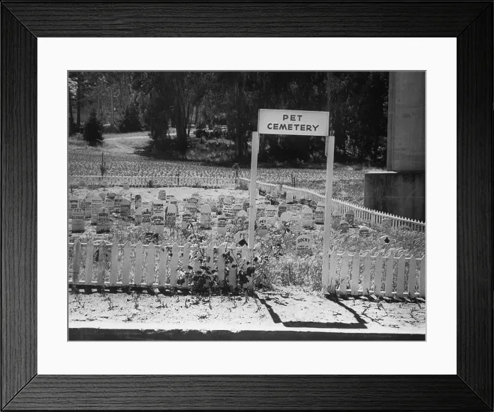 Framed Print : Pet Cemetery at Presidio Base Framed Print : Pet Cemetery at Presidio Base