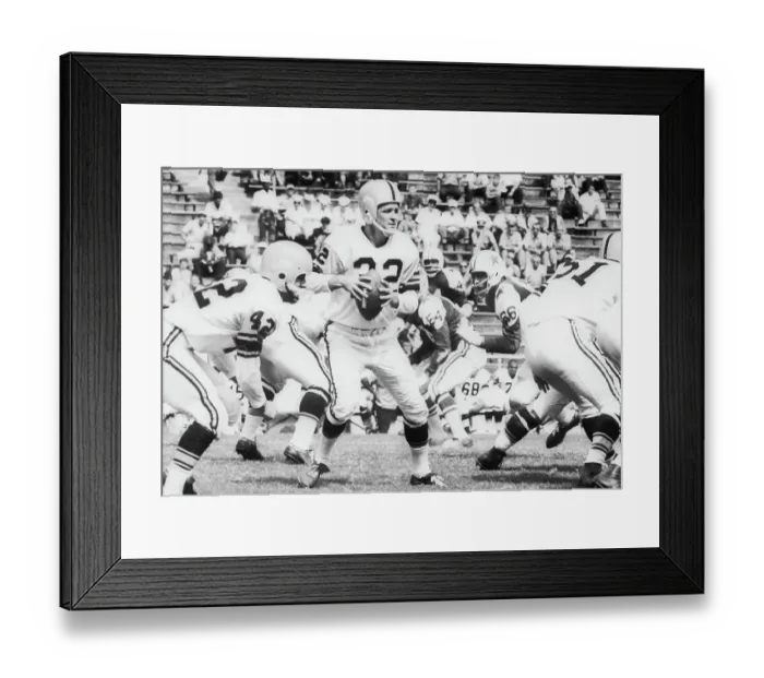 Framed Print : Pittsburgh Steelers Victory Framed Print : Pittsburgh Steelers Victory