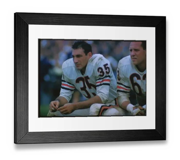 Framed Print : Chicago Bear's Rick Cazeres on the Sidelines Framed Print : Chicago Bear's Rick Cazeres on the Sidelines