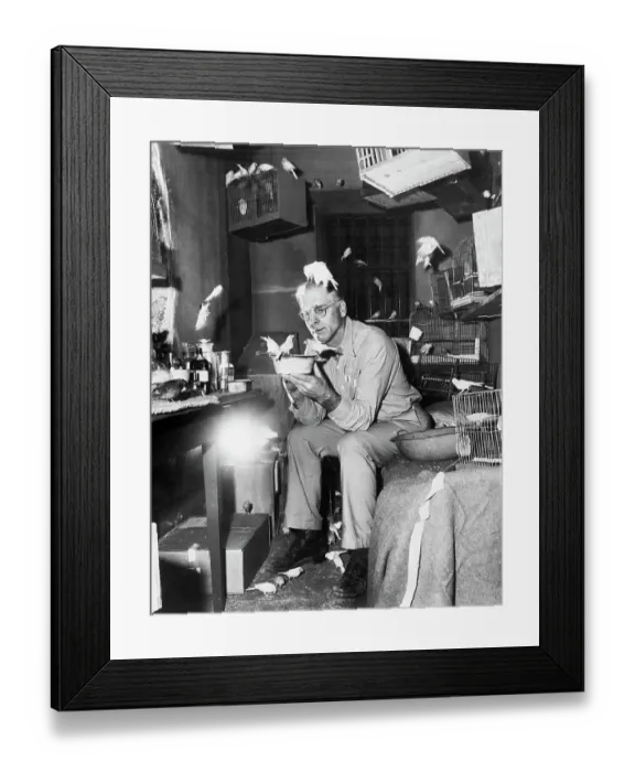 Framed Print : Burt Lancaster in The Birdman of Alcatraz Framed Print : Burt Lancaster in The Birdman of Alcatraz
