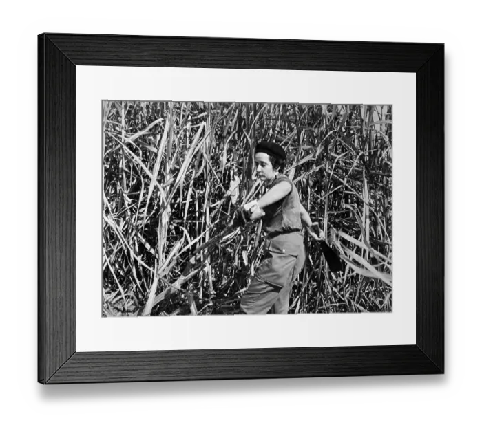 Framed Print : Woman Working in Field