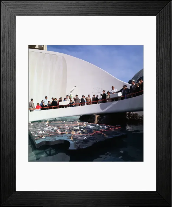 Framed Print : Puget Sound Water Exhibit Framed Print : Puget Sound Water Exhibit