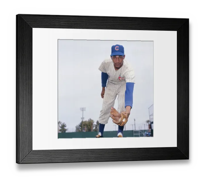 Framed Print : Billy Williams Holding Baseball in His Glove Framed Print : Billy Williams Holding Baseball in His Glove