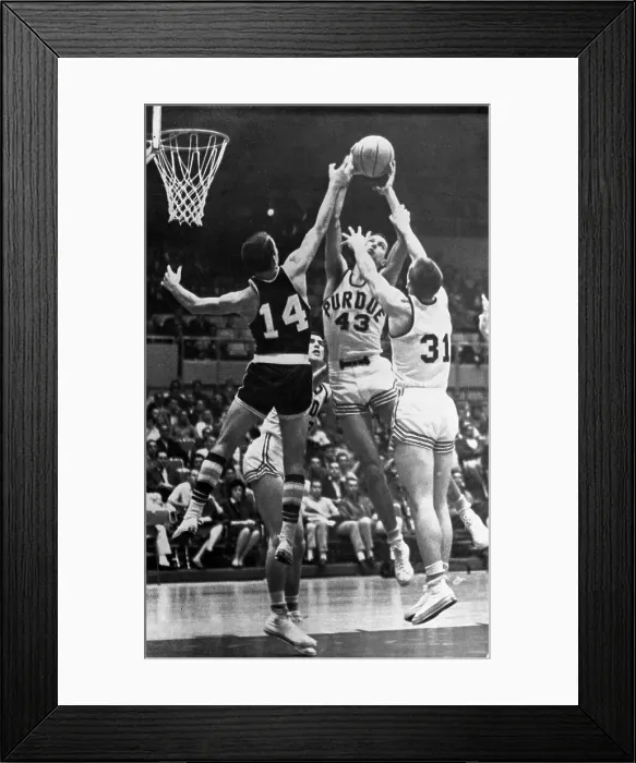 Framed Print : Terry Dischinger Framed Print : Terry Dischinger