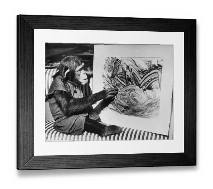 Framed Print : Chimp Named Mandy Looking at a Finger Painting By Another Chimp Named Betsy Framed Print : Chimp Named Mandy Looking at a Finger Painting By Another Chimp Named Betsy