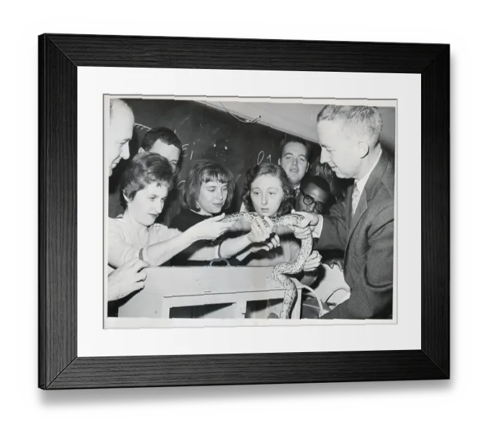 Framed Print : Peace Corps Volunteers Meet Snake Framed Print : Peace Corps Volunteers Meet Snake