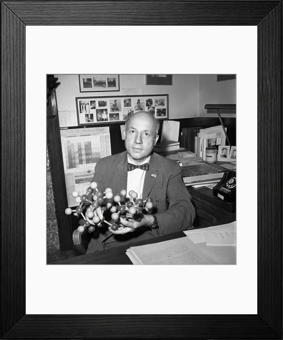 Framed Print : Dr. Melvin Calvin with Sucrose Model Framed Print : Dr. Melvin Calvin with Sucrose Model