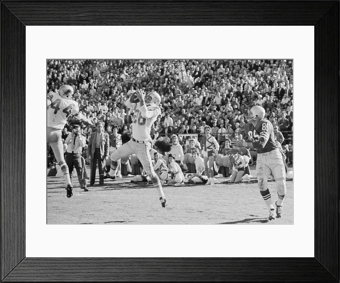 Framed Print : Yale Lary Intercepting a Pass Framed Print : Yale Lary Intercepting a Pass