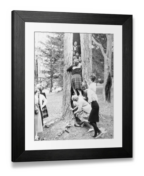 Framed Print : Students Standing Inside Tree Trunk