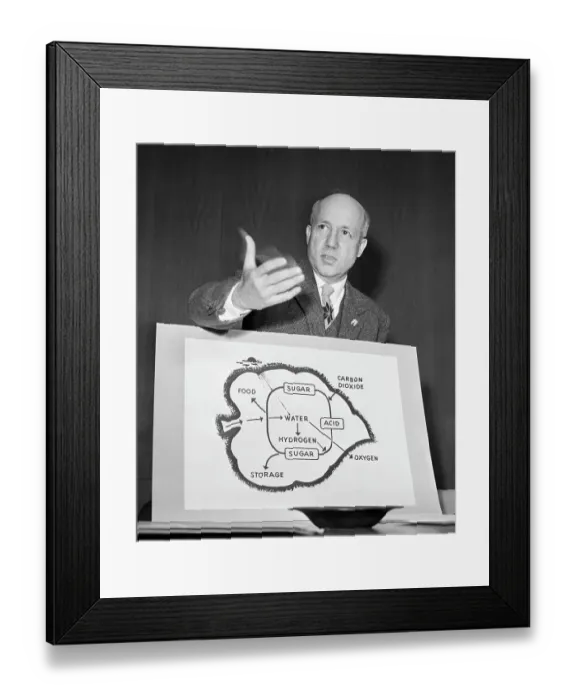 Framed Print : Melvin Calvin Framed Print : Melvin Calvin