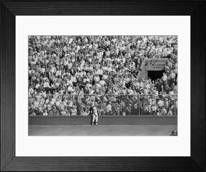 Framed Print : Fans Catching Ball In Stands Framed Print : Fans Catching Ball In Stands