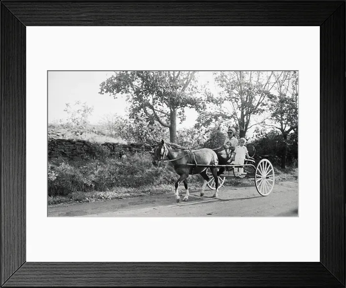 Framed Print : Jacqueline Bouvier Kennedy Taking the Children on a Cart Ride Framed Print : Jacqueline Bouvier Kennedy Taking the Children on a Cart Ride