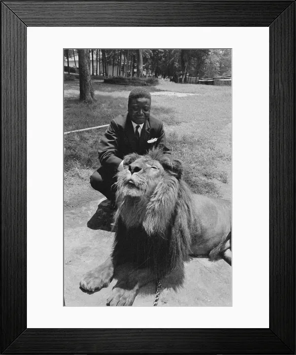 Framed Print : Moise Tshombe with Lion Framed Print : Moise Tshombe with Lion