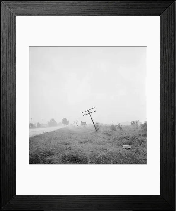 Framed Print : Telephone Poles Leaning From Hurricane Framed Print : Telephone Poles Leaning From Hurricane