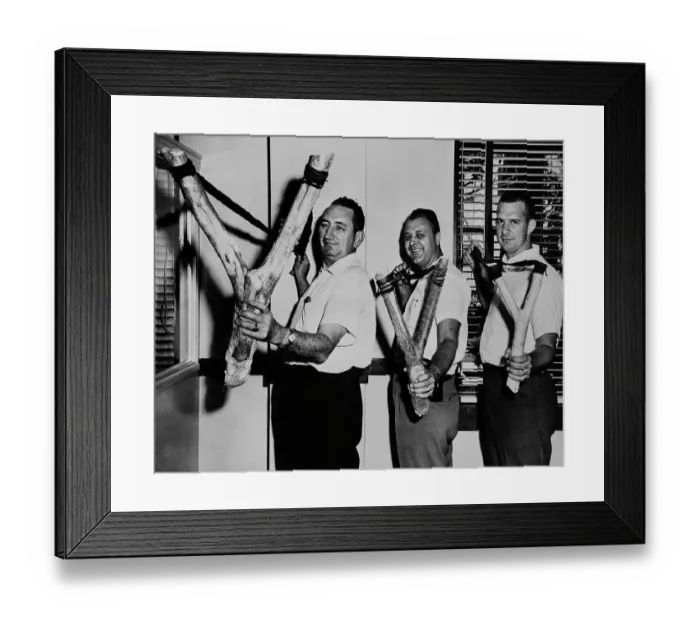Framed Print : Giant Slingshots Framed Print : Giant Slingshots