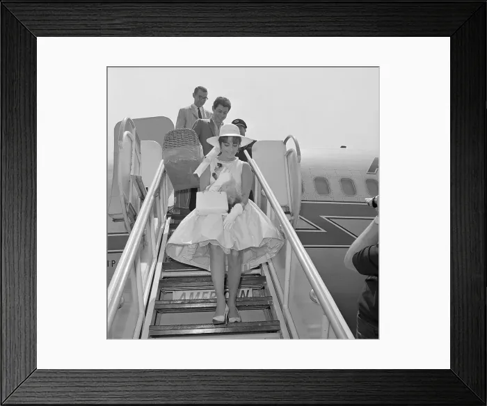 Framed Print : Elizabeth Taylor and Eddie Fisher Leaving Airplane Framed Print : Elizabeth Taylor and Eddie Fisher Leaving Airplane