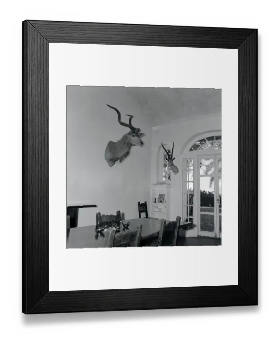 Framed Print : Animal Busts Hanging in Ernest Hemingway's Home Framed Print : Animal Busts Hanging in Ernest Hemingway's Home