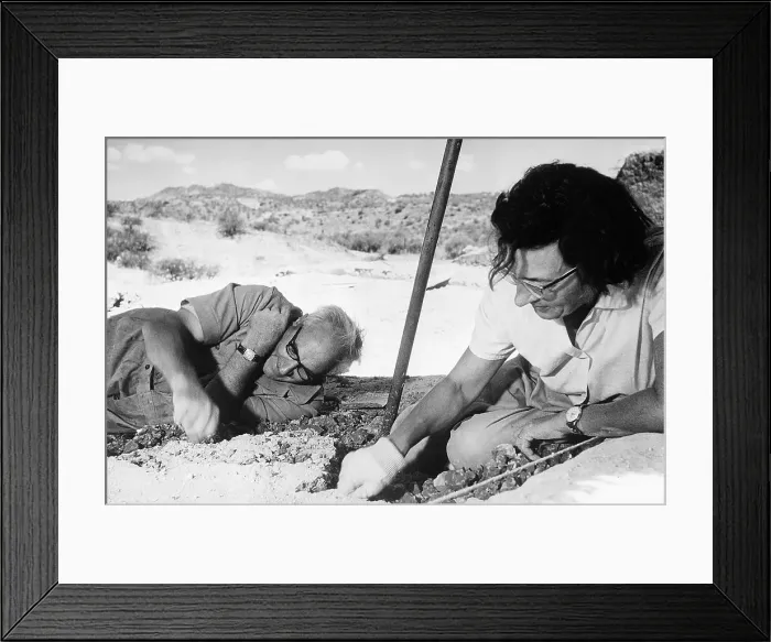Framed Print : Louis and Mary Leakey Digging For Bones Framed Print : Louis and Mary Leakey Digging For Bones