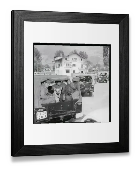 Framed Print : Italian Police And Police Dogs Framed Print : Italian Police And Police Dogs