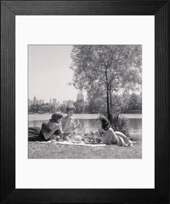 Framed Print : Picnicking in Central Park Framed Print : Picnicking in Central Park