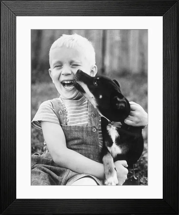 Framed Print : Boy Laughing as Dog Kisses His Face Framed Print : Boy Laughing as Dog Kisses His Face